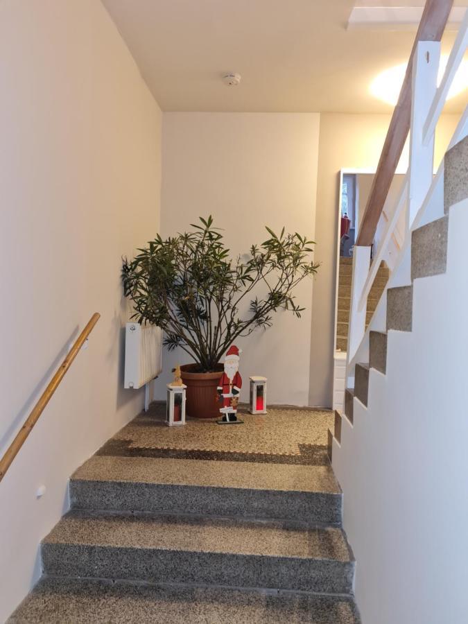 Haus Fernblick Apartment Kurort Bärenburg Exterior photo